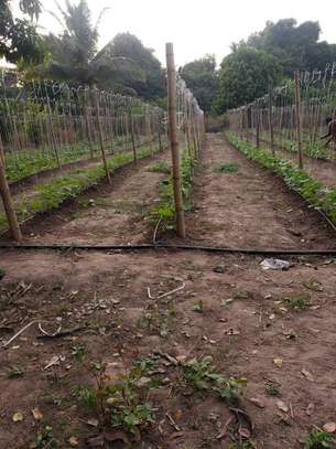 LIVRAISON FRUIT LEGUME ENGRAIS SEMENCE CAMION FRIGO 20M3 image 1