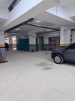 Appartement spacieux et lumineux image 5