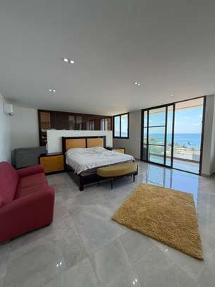 Magnifique Penthouse à louer image 7