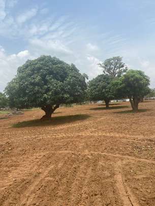 Champs de 3,9 ha à vendre à Pout Tf individuel image 7