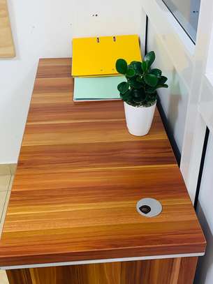 Petites et grandes Plantes d'intérieur vertes image 2