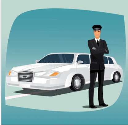 Chauffeur conducteur image 1