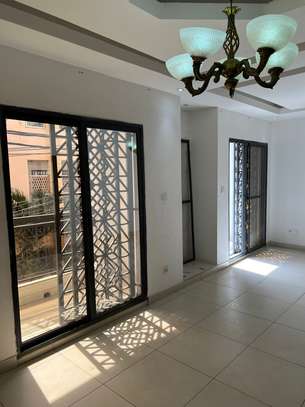 Mermoz magnifique appartement image 15