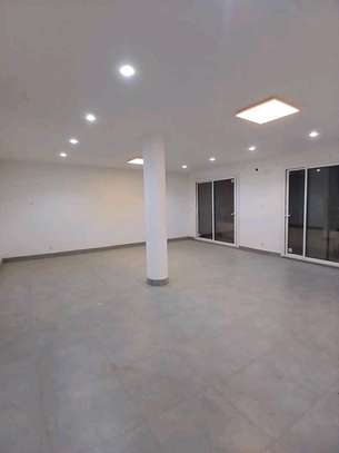 Appartement aux mamelles avec une terrasse privée de 90 m2 image 5