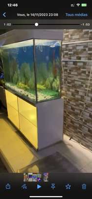 Superbe Aquarium de 280 Litres image 6