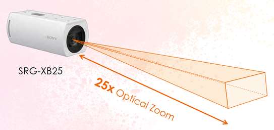Caméra à distance fixe 4K60p IP Sony SRG-XB25 image 2