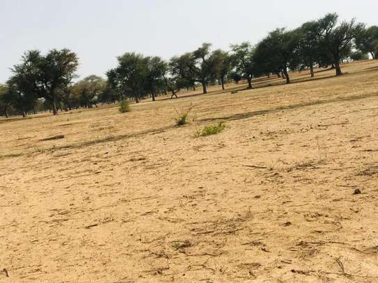 Terrain Agricole de 9070 m²  à Touba Toul image 4