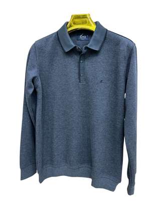 Polo image 2