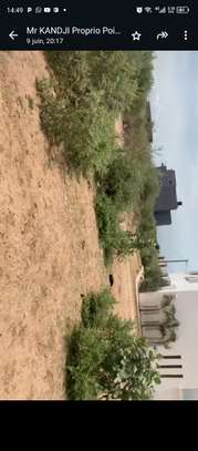 4500 m² à vendre à Saly center à Mbour sur la petite côte image 9