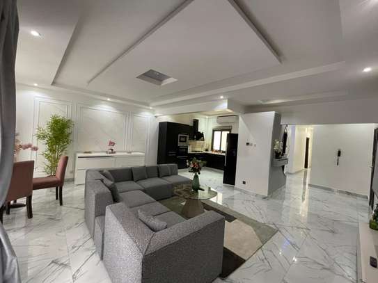 APPARTEMENT MEUBLE F3 A LOUER POINT E image 7