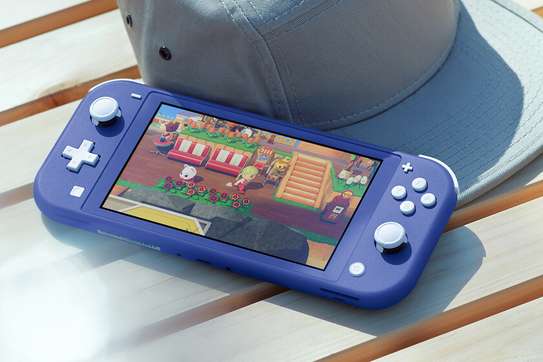 Nintendo switch LITE image 2