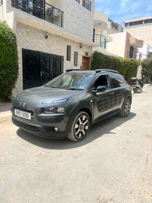 C4 cactus image 3