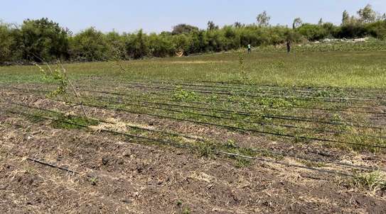 Terrain 1 hectare a sebiponty ndoyene image 4