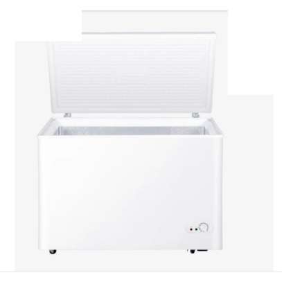 CONGÉLATEUR 400LITRES RISING HORIZONTAL BLANC image 2