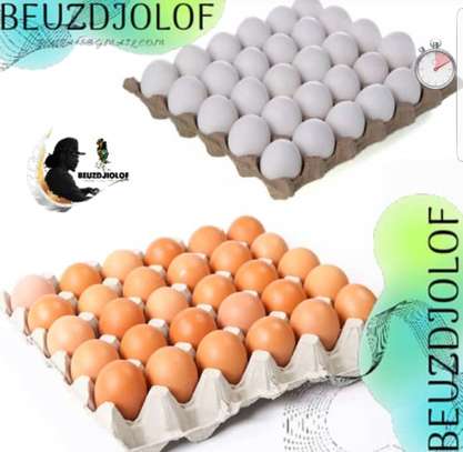vente des œufs image 1