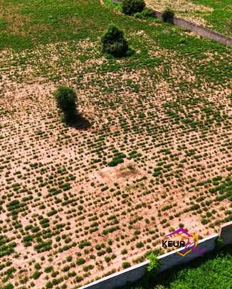 Terrains de 1000 m² à vendre à Saly image 6