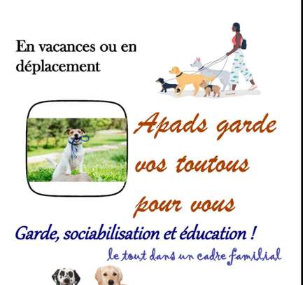 Garde/ pension chiens image 1