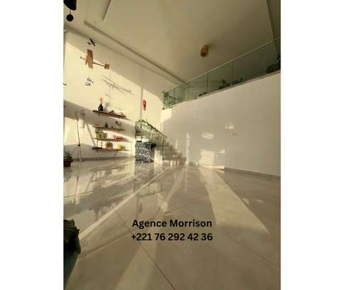 Appartement Duplex de prestige image 3