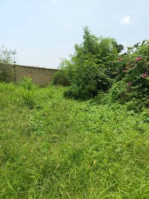 Opportunité à saisir – Terrain de 300 m² clôturé image 9
