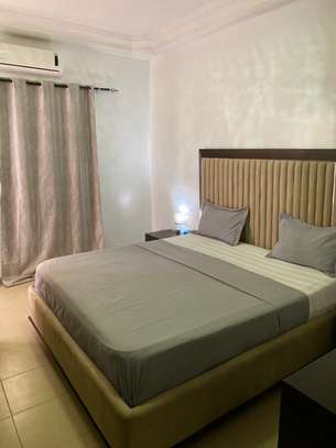 Appartement Mermoz Pyrotechnique image 1