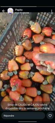 PROMO SPÉCIALE – Mangue PRODUITS FRAIS DU TERROIR ! SN image 2