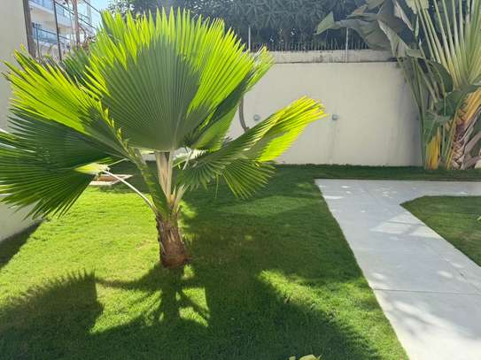 Magnifique Villa R+2 à louer aux Almadies image 15