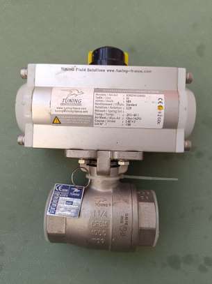 Actionneur pneumatique image 1
