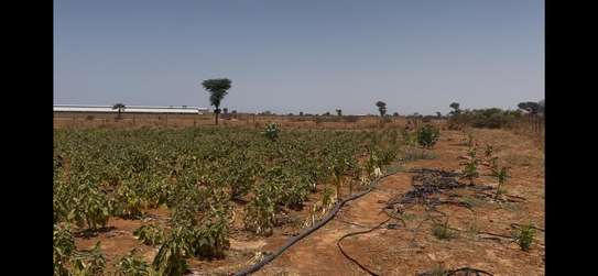 Terrain agricole Notto Diobass village Ngolar image 13