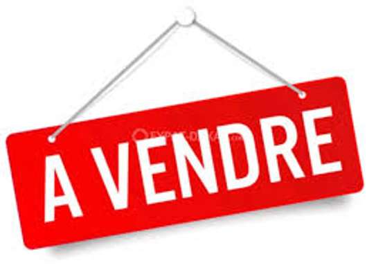 Terrain 300m2 angle à  vendre à Saly image 1