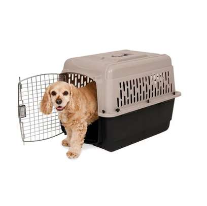 Cage pour chien ou chat image 2