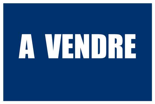 TERRAIN NU A VENDRE A OUEST FOIRE image 1