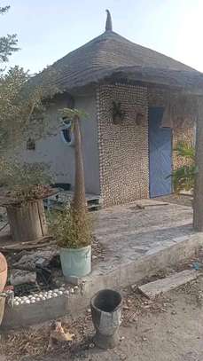 Verger 1 hectare et demi à Toubacouta -Foundioune image 3