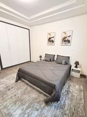 APPARTEMENT MEUBLÉ A MERMOZ : DEUX PIÈCES COSY image 2