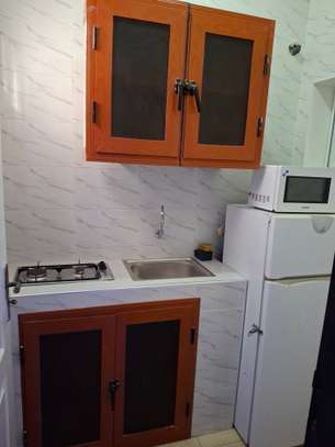 Studio meublé à louer image 8