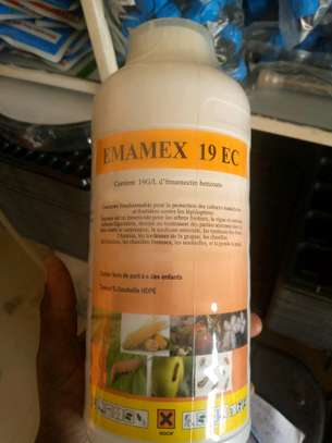 Produits agricoles image 2