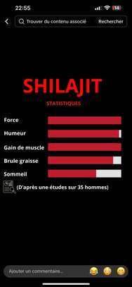 Shilajit image 2