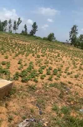 Lot de terrain TF à vendre par moratoire à TIVAOUNE PEULH image 3