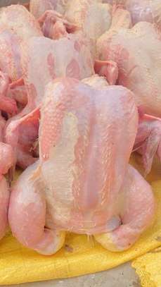 Vente de Poulets de chair image 1