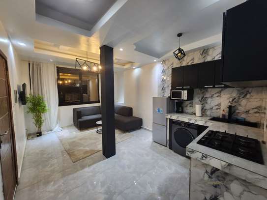 Studio Meublé sur la vdn image 11