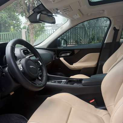 Location Jaguar image 2