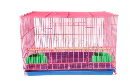 Cage oiseaux grande taille bleu vert perchoir bois image 2