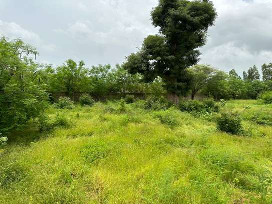 TERRAIN A VENDRE image 3