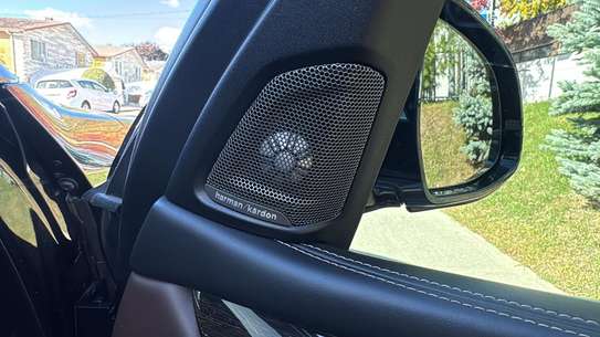 BMW X5 Luxury image 14