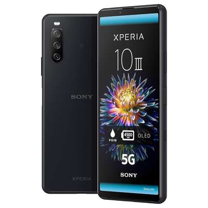 Sony Xperia SOG04 10 III 5G(VENANT) image 2
