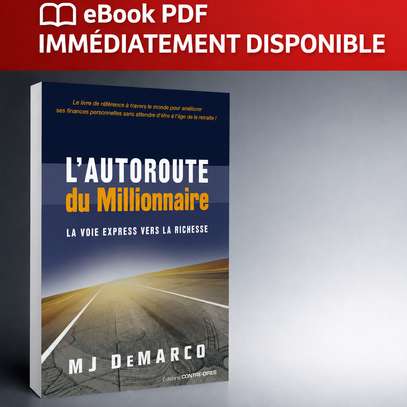 📚Livres PDF (E-books / Livres électroniques) image 7