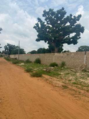 Champs de 3,9 ha à vendre à Pout Tf individuel image 3