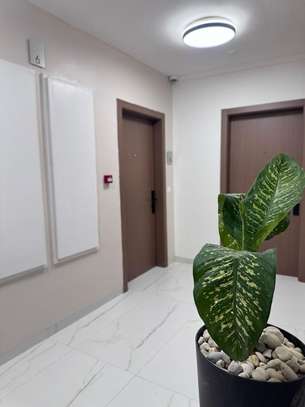 Appartement spacieux et lumineux image 3