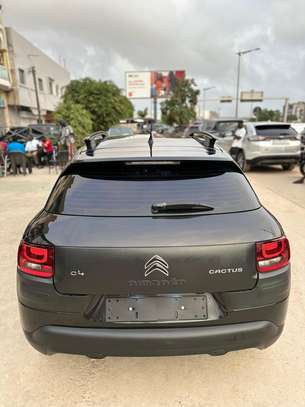 CITROËN C4 CACTUS 2017 image 13
