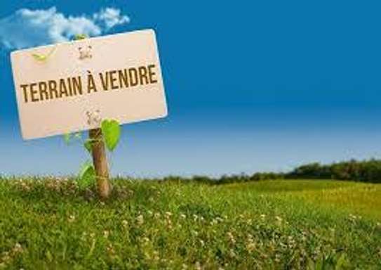 Terrain de 800m2 a Ouest Foire image 1