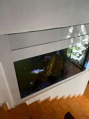 Appartement à louer image 7